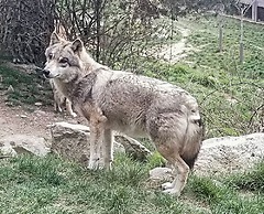 Les Granges de Bigose