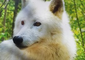 Les Granges de Bigose