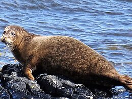 Door to the Shore - Seafront Cottages