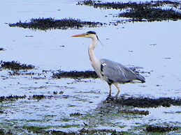 Door to the Shore - Seafront Cottages