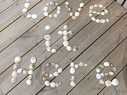 Door to the Shore - Seafront Cottages