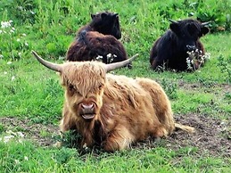 Door to the Shore - Seafront Cottages
