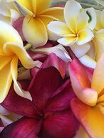 Sama's Cottages and Villas