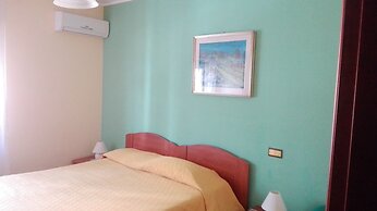 B&B Agave