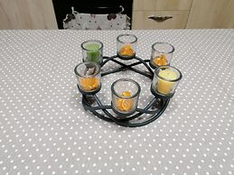 B&B Agave