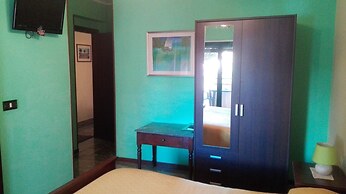 B&B Agave