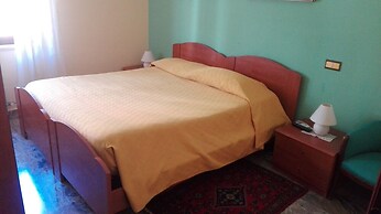 B&B Agave