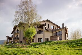 Poiana Viselor