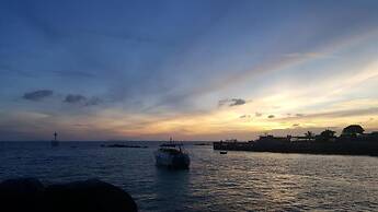 Jungle Gym & Eco Lodge - Hostel
