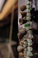 Jungle Gym & Eco Lodge - Hostel