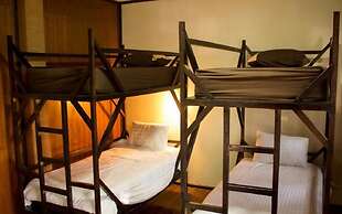Jungle Gym & Eco Lodge - Hostel