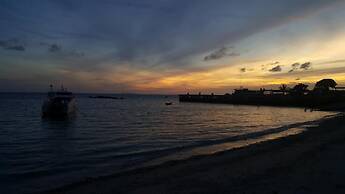 Jungle Gym & Eco Lodge - Hostel