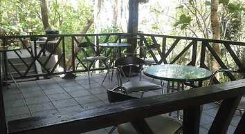 Jungle Gym & Eco Lodge - Hostel