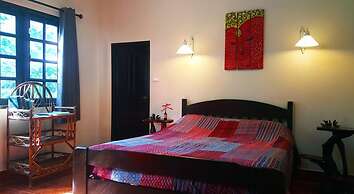 Jungle Gym & Eco Lodge - Hostel