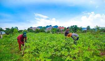 Jungle Boss Homestay