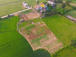 Jungle Boss Homestay