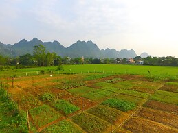 Jungle Boss Homestay