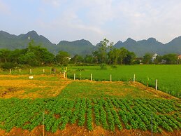 Jungle Boss Homestay