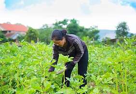 Jungle Boss Homestay