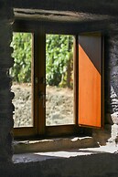 Sobreiros's Villa in Douro Valley