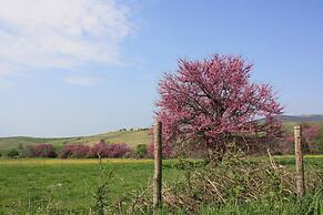 I Sicomori - Seme di Carota - Glamping e appartamenti con piscina a Sa