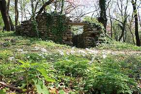 I Sicomori - Seme di Carota - Glamping e appartamenti con piscina a Sa