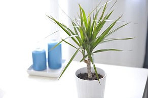 Villa Oliver 1 Siófok