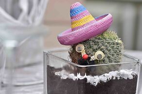 AZ Hôtel Vieux Kouba