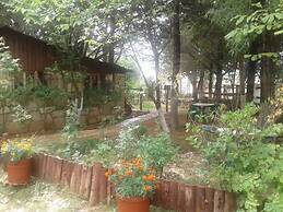 Auberge La Forestiere