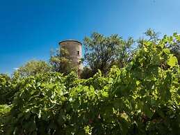 Gîtes Pech-céleyran