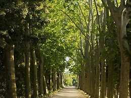 Gîtes Pech-céleyran