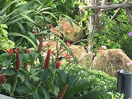 Villa Bella Koh Samui