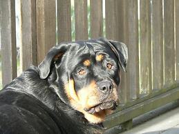 Heartland Inn and Suites