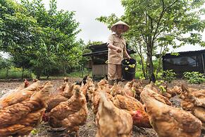 The Residence Bintan