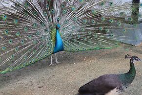 The Residence Bintan