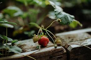 Hotel-Restaurant Le Cigalon