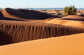 Desert Bivouac