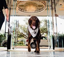 The Post Oak Hotel at Uptown Houston