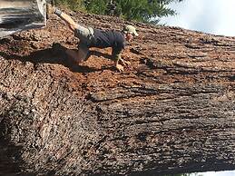 The Great Escape Secluded with Hot Tub