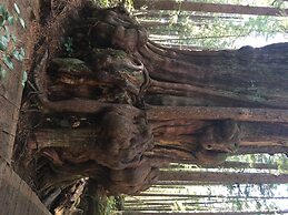 The Great Escape Secluded with Hot Tub