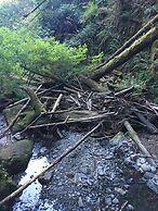 The Great Escape Secluded with Hot Tub