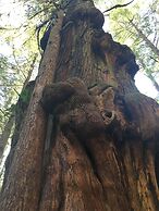 The Great Escape Secluded with Hot Tub