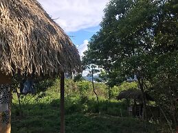 Ayahuaska