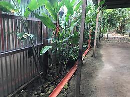 Ayahuaska