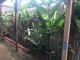 Ayahuaska