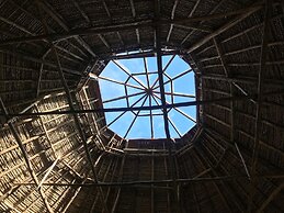 Ayahuaska