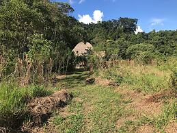 Ayahuaska