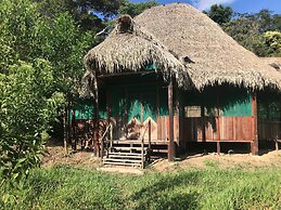 Ayahuaska