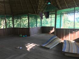 Ayahuaska