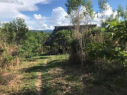 Ayahuaska